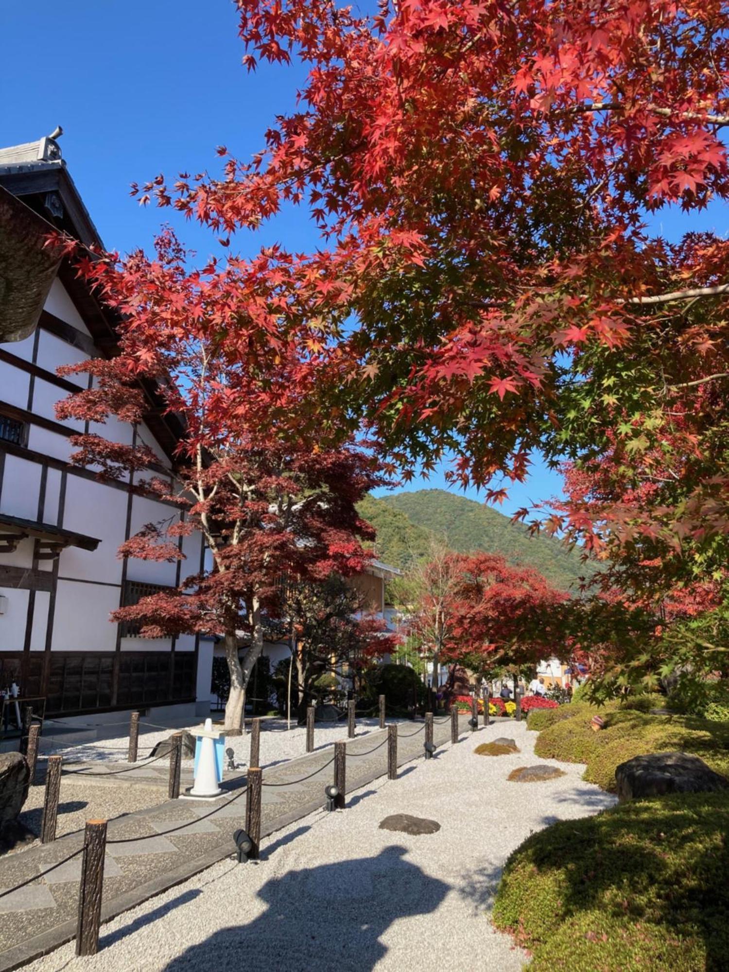 Sky Tree Inn Ⅱ（晴樹宿ⅱ） Tokio Zewnętrze zdjęcie