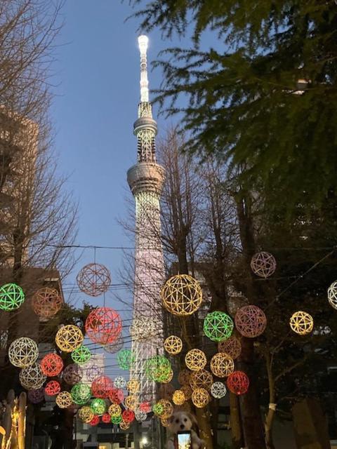 Sky Tree Inn Ⅱ（晴樹宿ⅱ） Tokio Zewnętrze zdjęcie